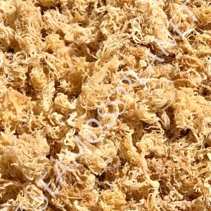 St Lucia Pride WILDCRAFTED Sea Moss Buy 2 Get 1 Free 100% Real Sea Moss