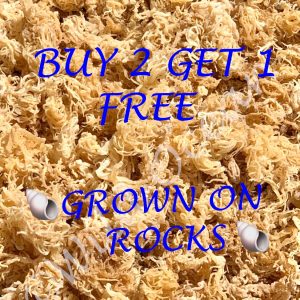 St Lucia Pride WILDCRAFTED Sea Moss Buy 2 Get 1 Free 100% Real Sea Moss