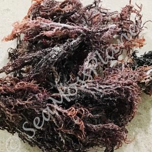PURPLE St Lucia DRY WILDCRAFTED Sea Moss Buy 2 Get 1 Free 100% Real Sea Moss